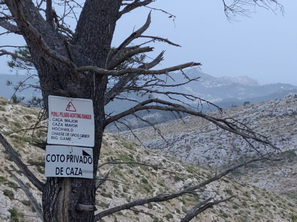 Spanish Gun Laws
