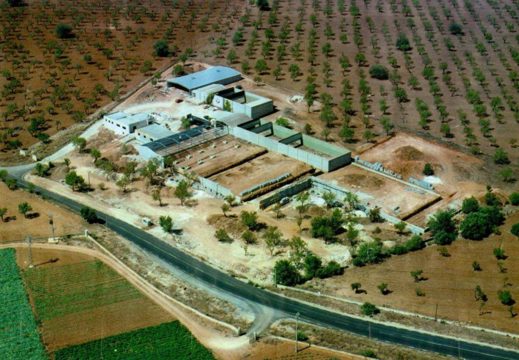 Club de Tiro Olímpico Mallorca