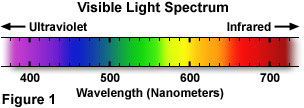 visible light spectrum