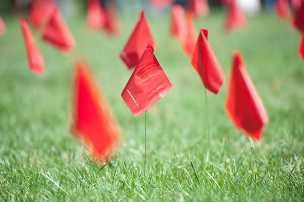Red Flags