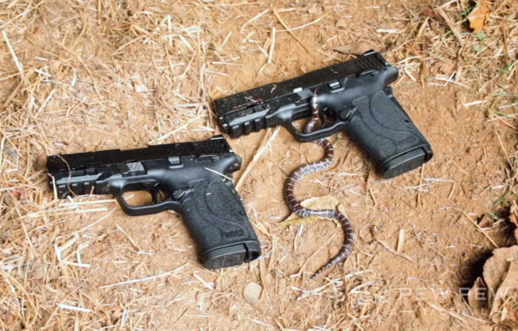 Shield EZ 9mm Vs EZ380 and a snake