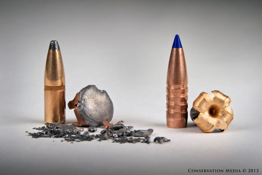 Lead vs copper bullet