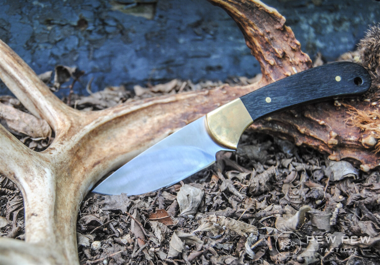 5 Best Skinning Knives What Makes a Great Skinner? Pew Pew Tactical