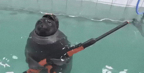 Navy Seals