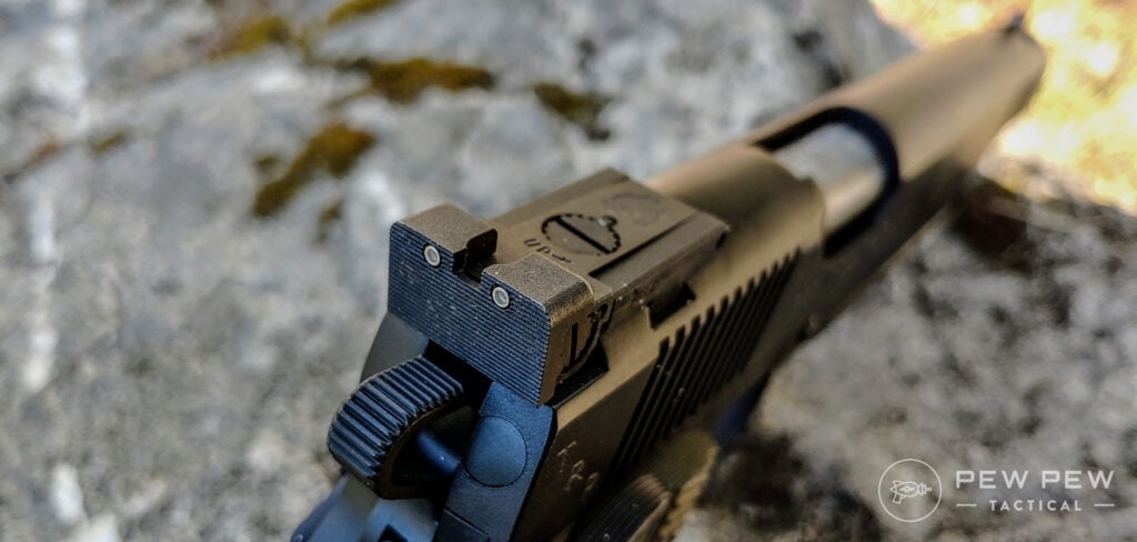 Springfield 1911 (10)