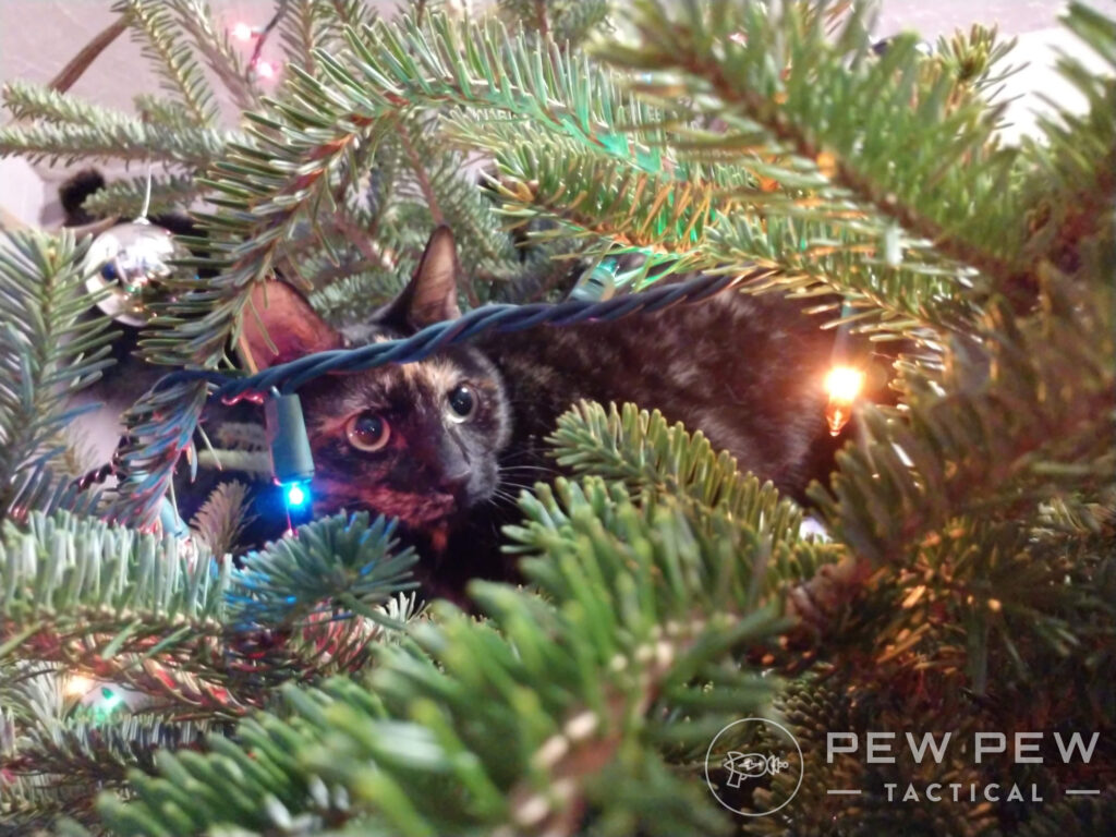 Cat in a Christmas Tree