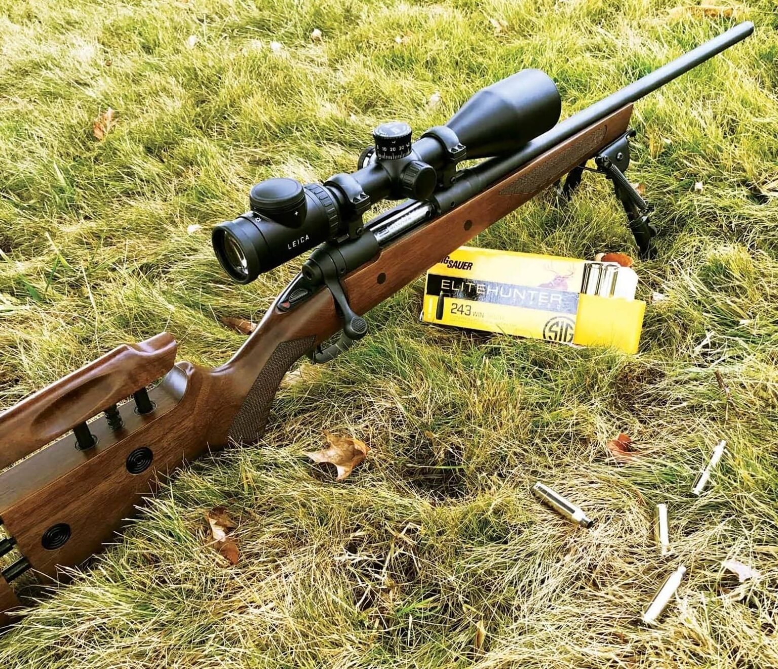 best bolt action rifle caliber