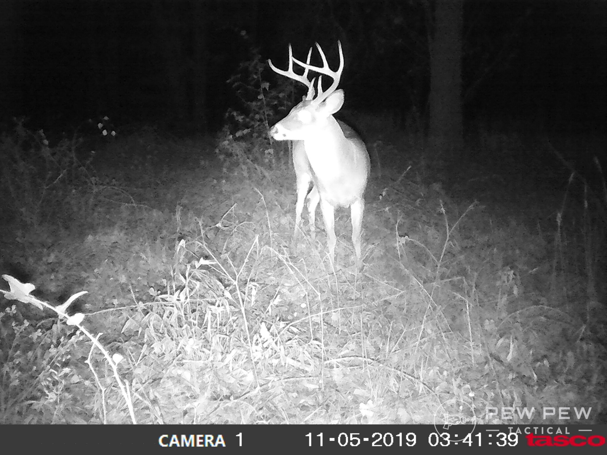 Best Trail Cameras of 2024 HandsOn Tested Pew Pew Tactical