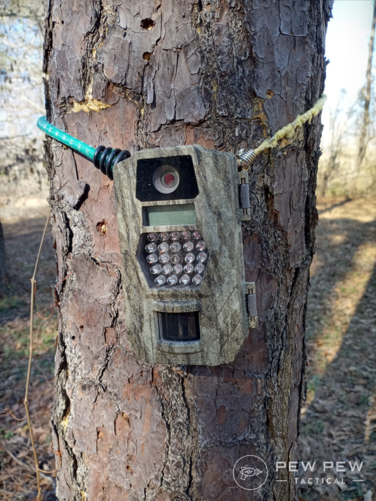 Trail Cams Tasco