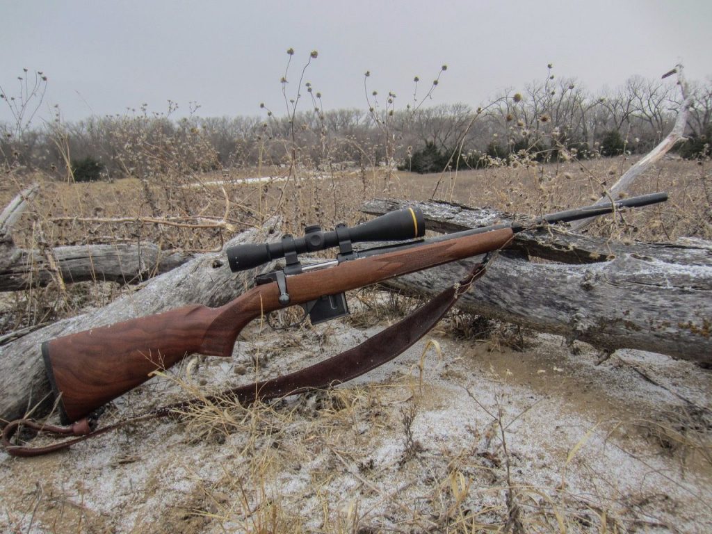 CZ Model 527 American