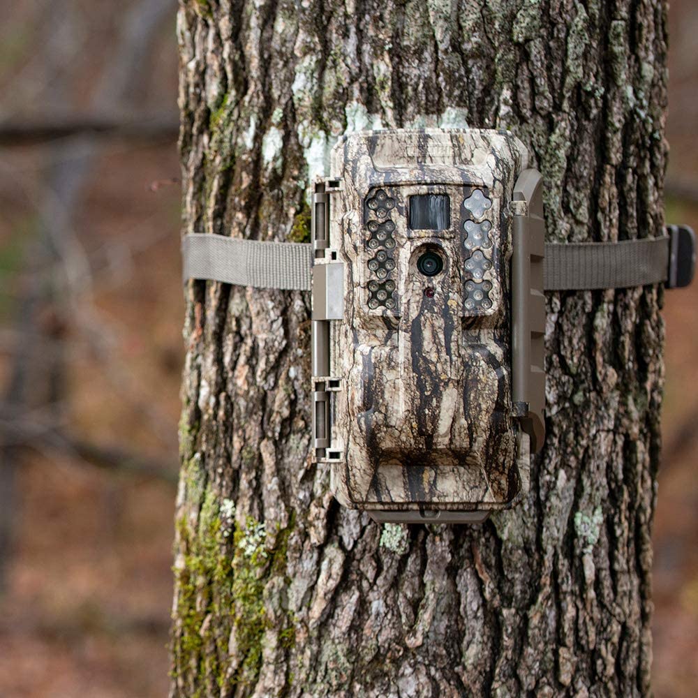 Moultrie Camera on Tree