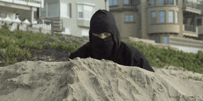Ninja Skills
