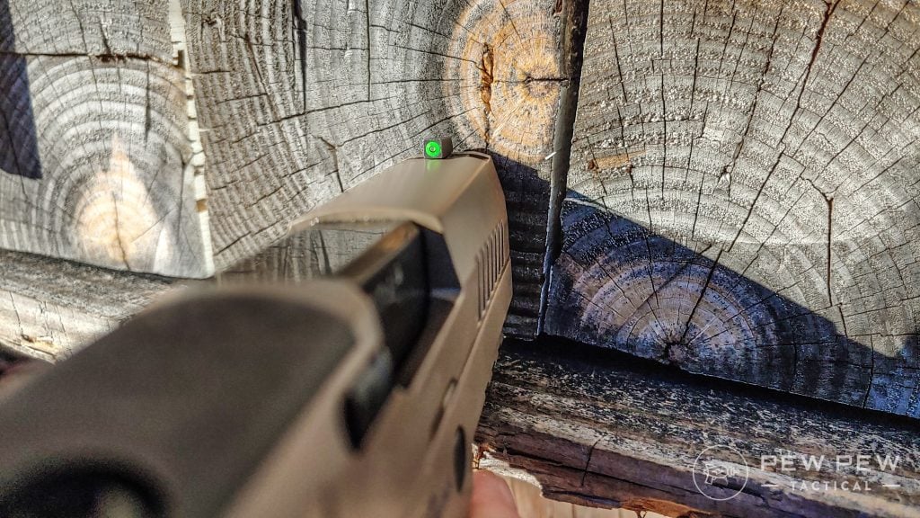 Sig Sauer AXG Sights