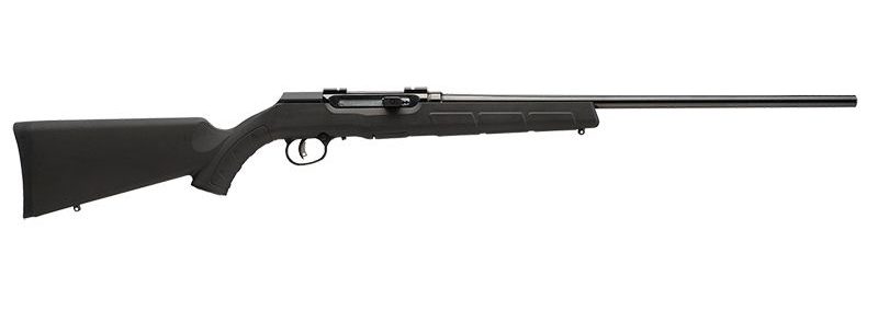 Savage Arms A17 HM2