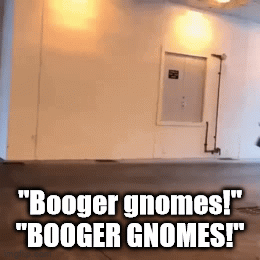 booger gnomes danger word