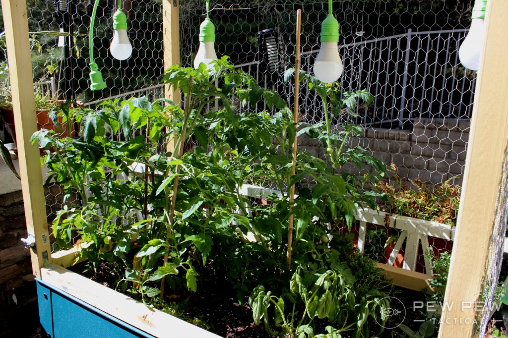 Apartment Garden Alley 2