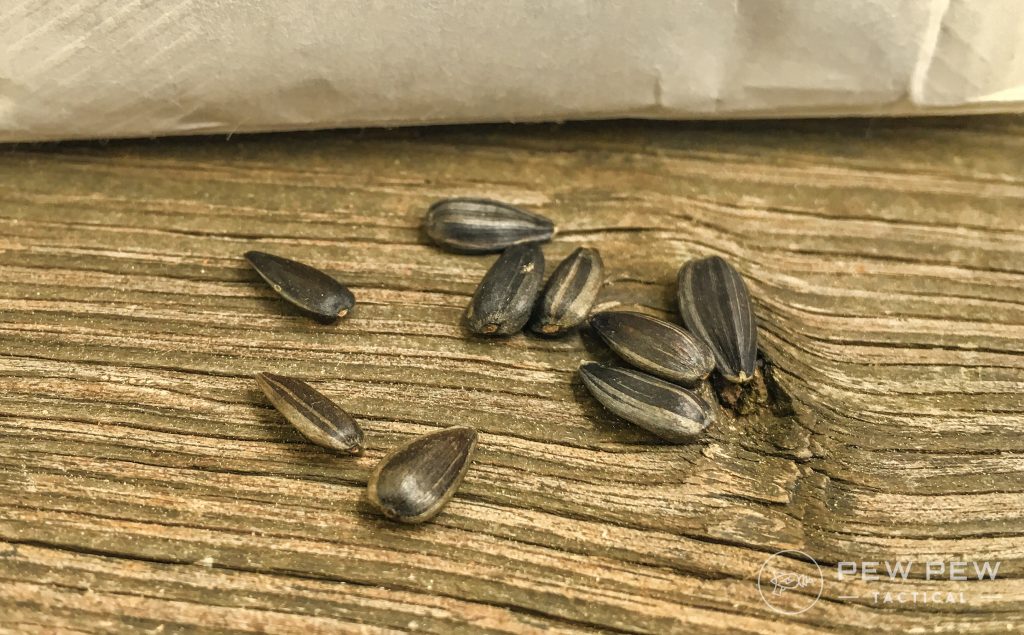 Black oil sunflower seeds