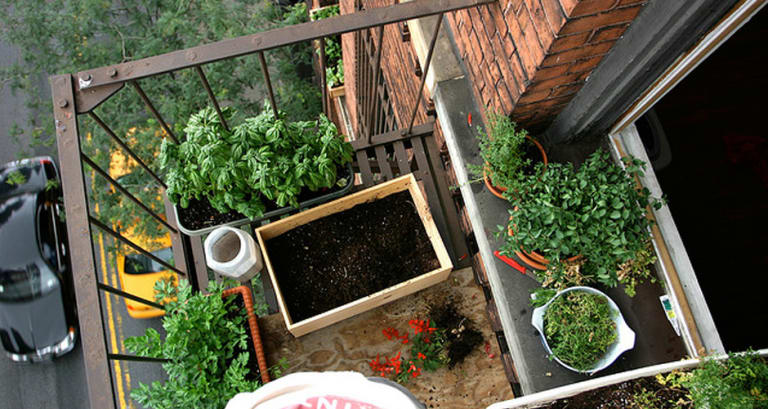 Fire escape garden (First We Feast)