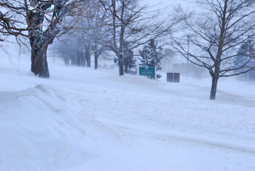 Blizzard