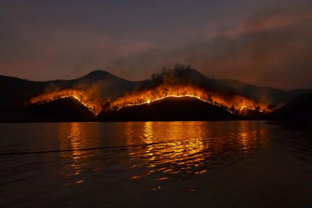 Wildfire near a lake