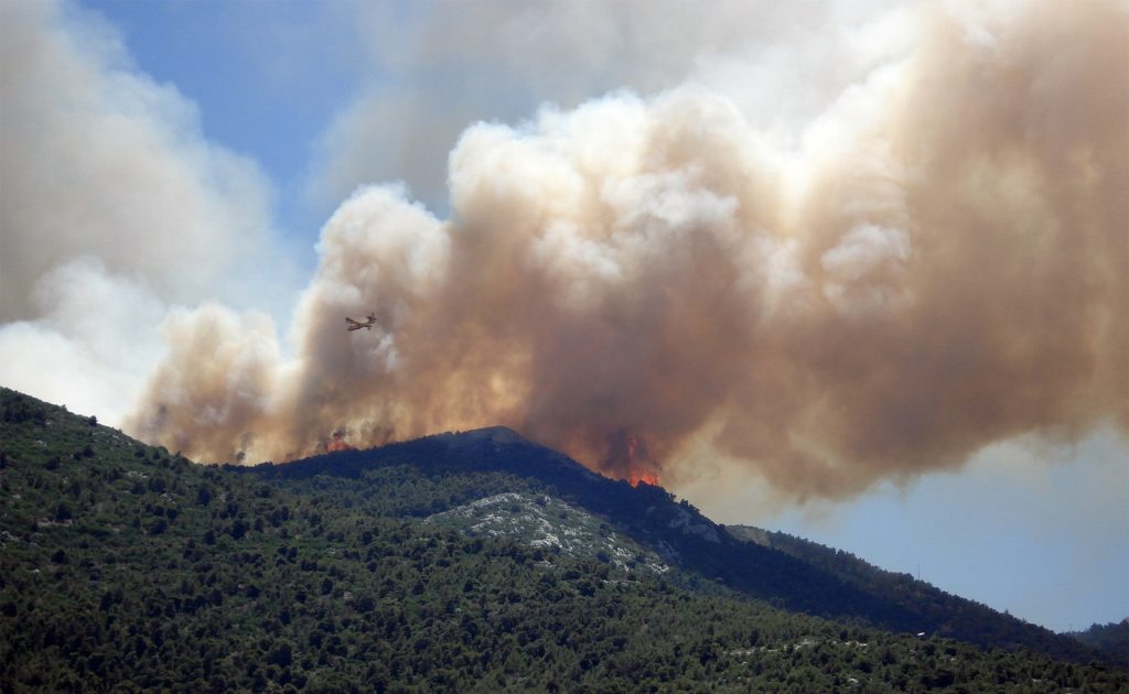 Wildfire with plane