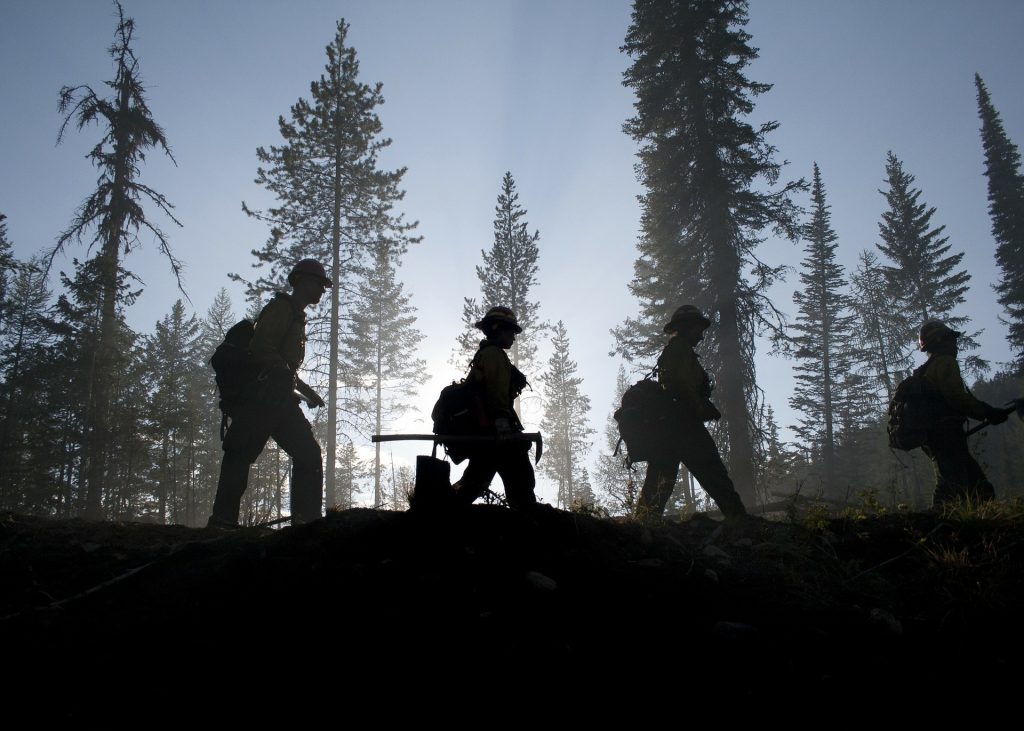 Wildland firefighters