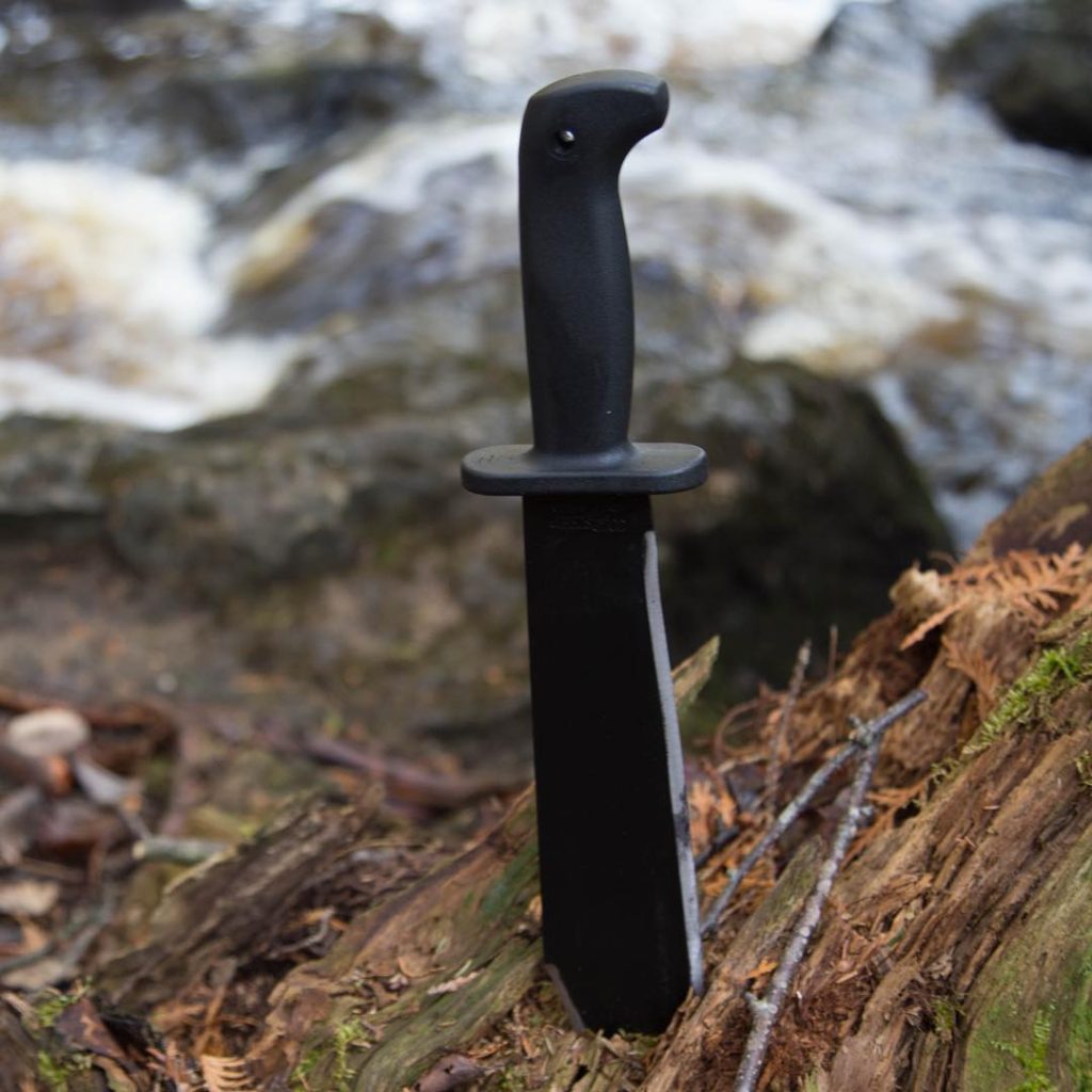 Black Bear Bowie