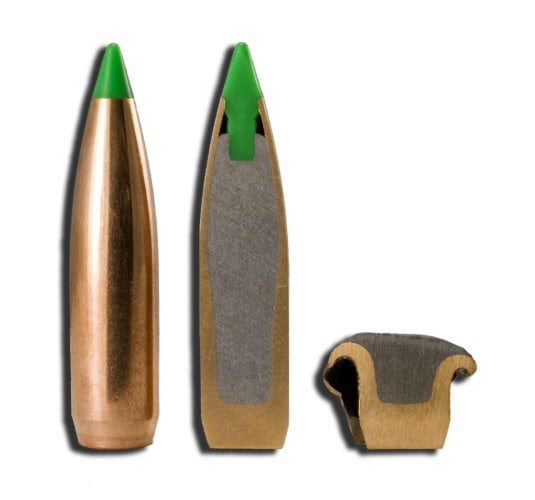 Polymer tipped bullets cross section