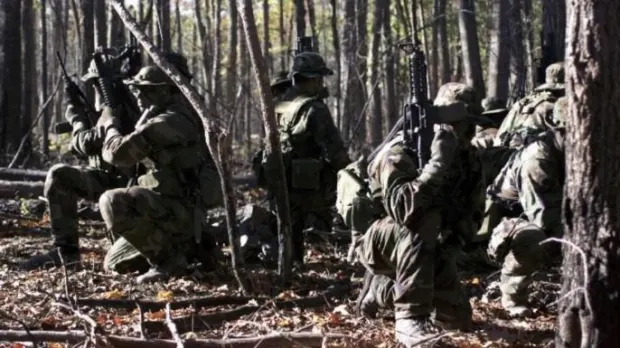 Squad of Seals