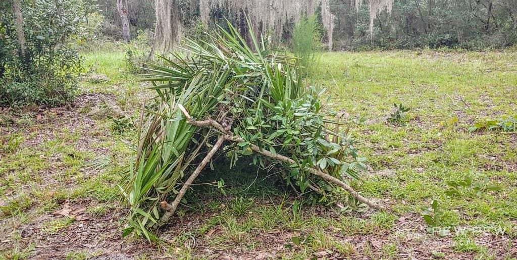 Bushcrafting Leaves Shelter