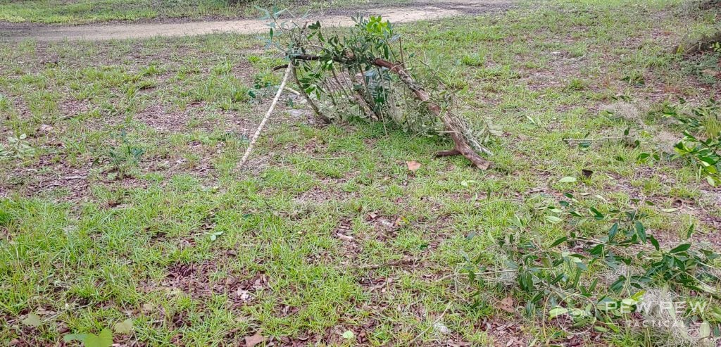 Bushcrafting Frame with Half Ribs