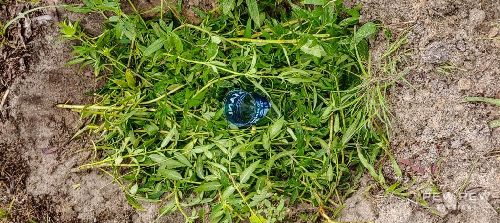 Bushcrafting Solar Still with Cup and Green Leafy Weeds