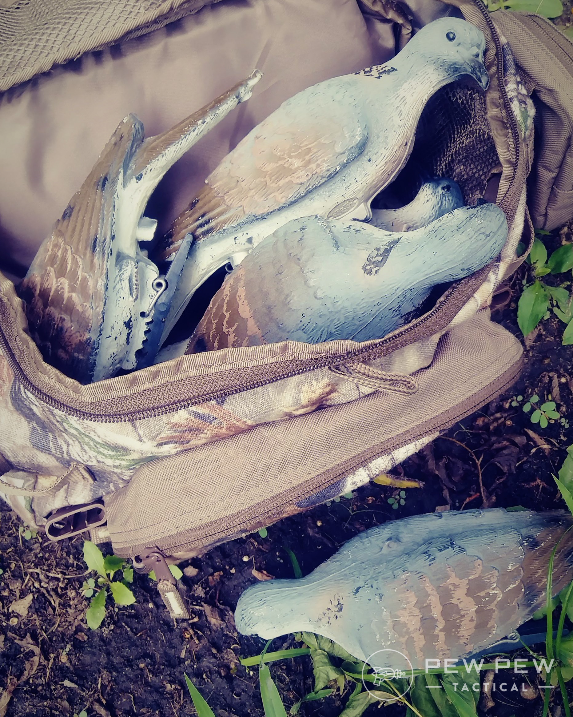 Gearing Up for Dove Hunting [Beginner's Guide] Pew Pew Tactical