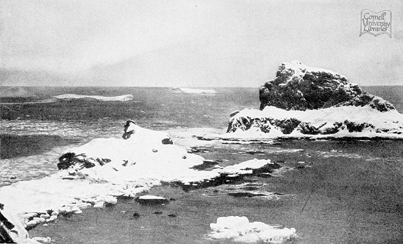 Elephant Island