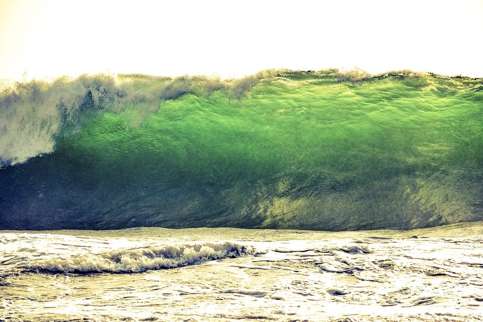 Tsunami wave