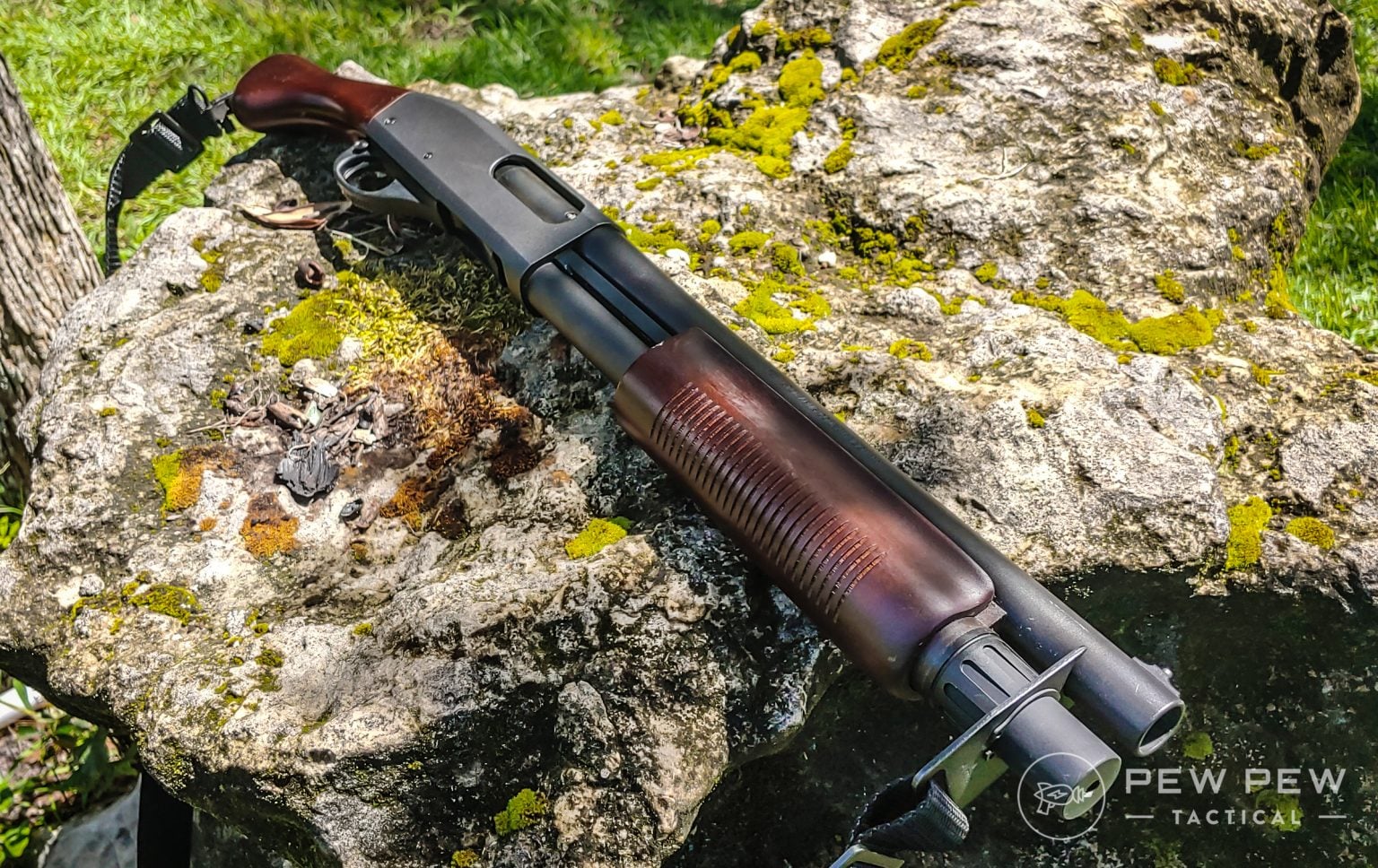 7 Best Pistol Grip Only Firearms [Guide] Pew Pew Tactical