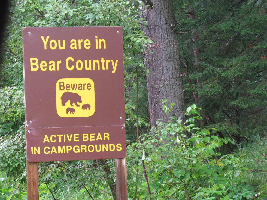 Bear country sign