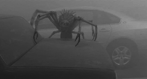 Stephen King The Mist spider