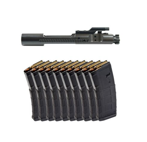 PSA NITRIDE MPI FULL-AUTO 5.56 BCG & 10 MAGPUL PMAG 30RD GEN2 MOE 5.56 MAGAZINES