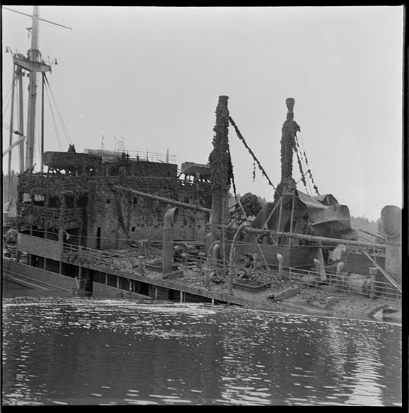 Sunken SS Donau