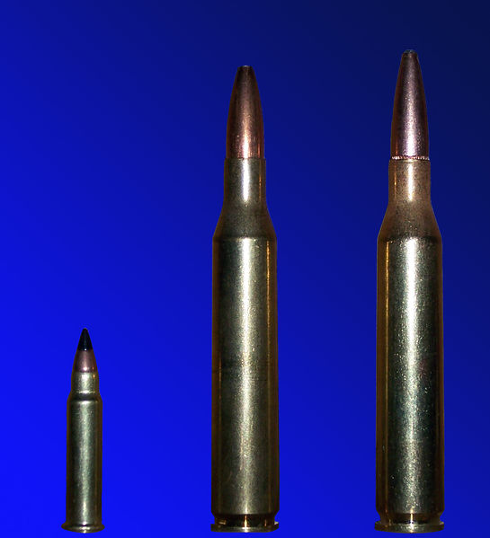 .17 HMR vs 25-06 Remington