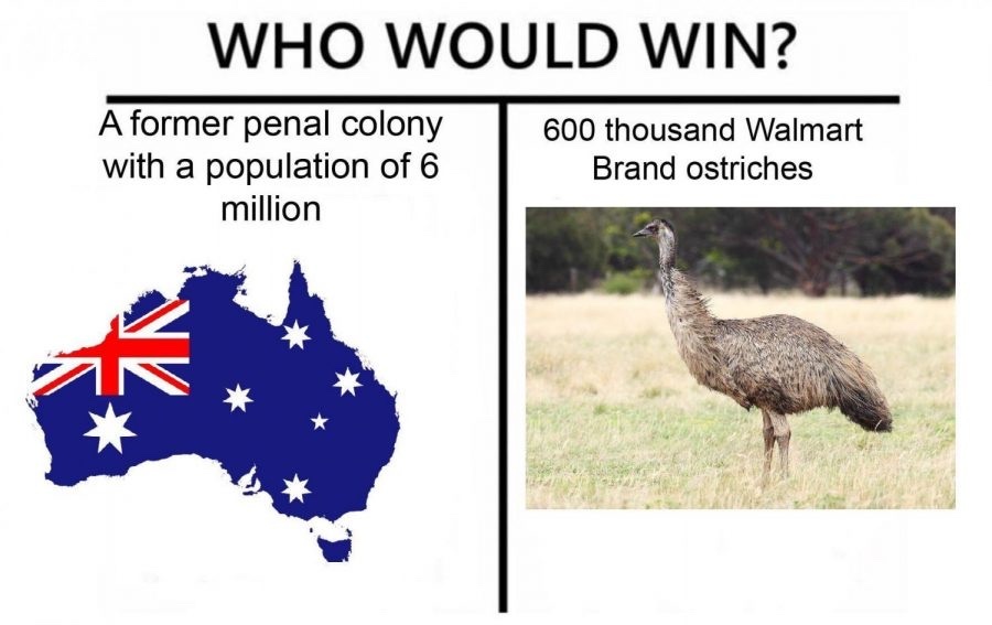 Great emu war meme