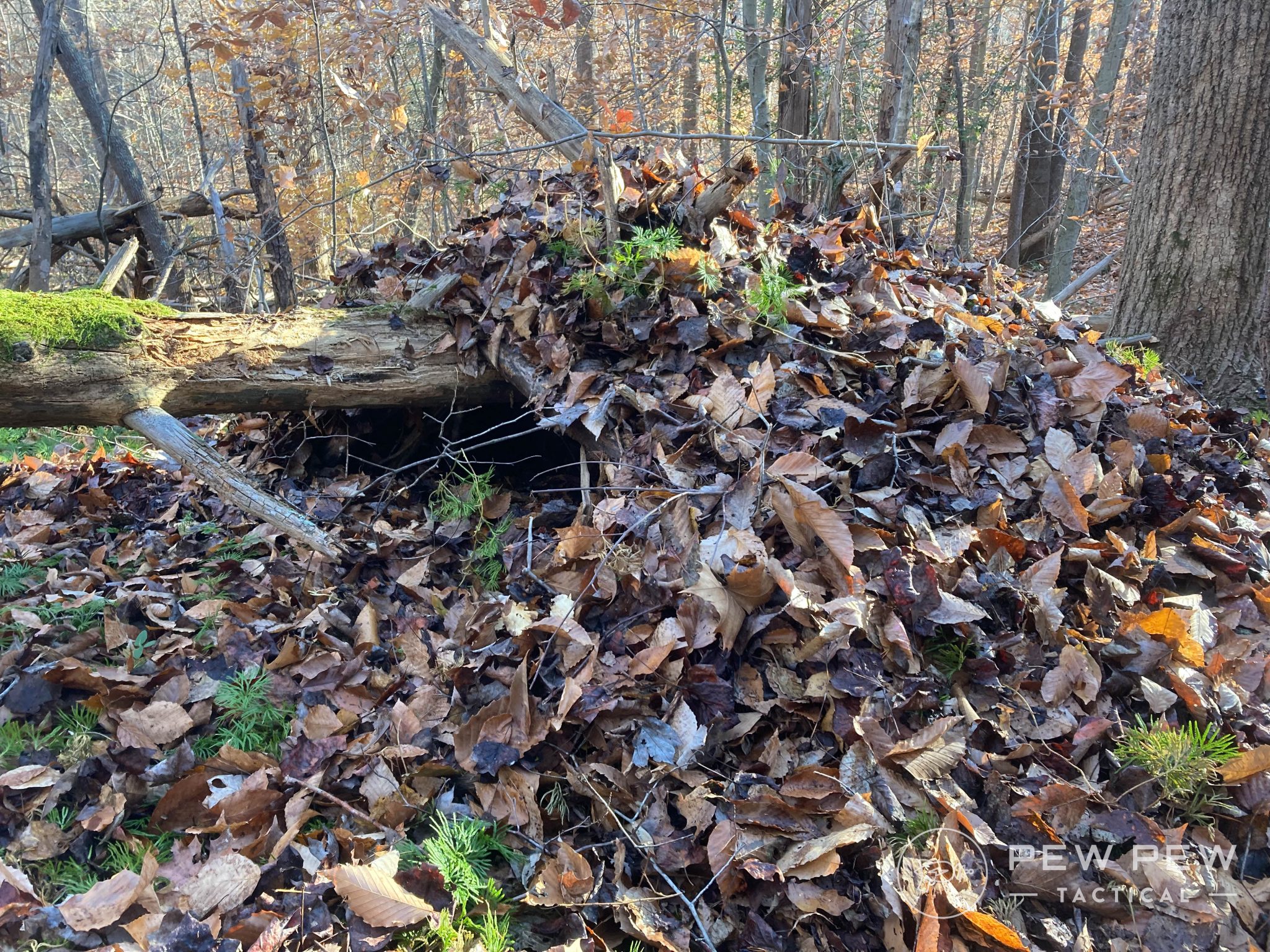 DIY Survival Shelters How To Build a Shelter With No Tools Pew Pew