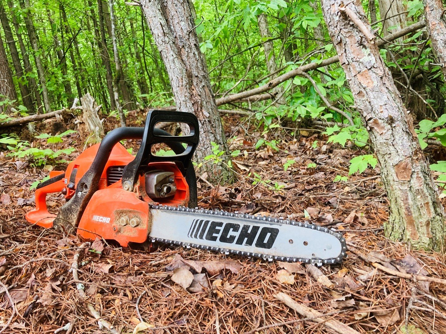 Emergency Preparedness Checklist What You Need To Survive Pew Pew