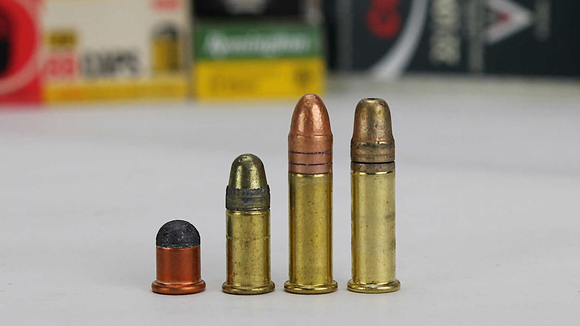  17 HMR Vs 22 LR Vs 22 Win Mag Which Is The Best Pew Pew Tactical