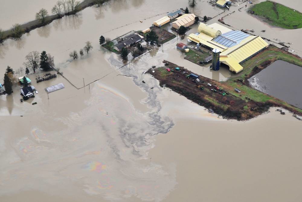 Polluted flood waters