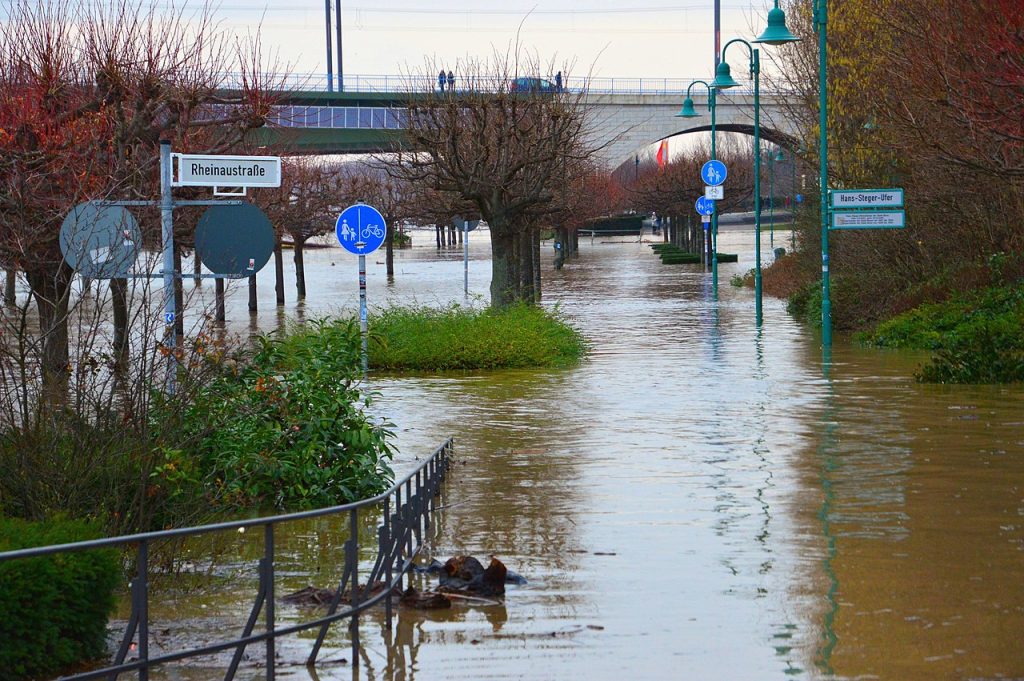 Flooding of the Rhine