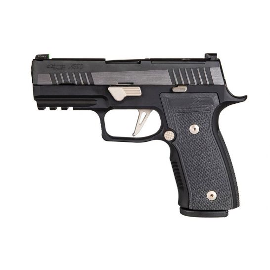 Sig P320 AXG Equinox