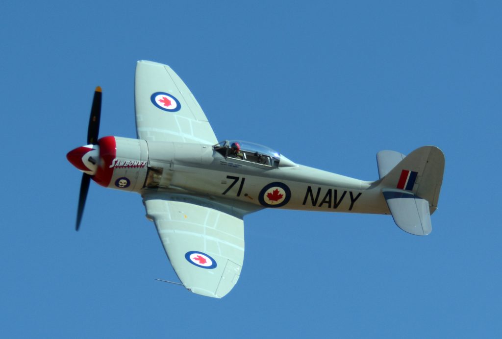 Canadian Sea Fury