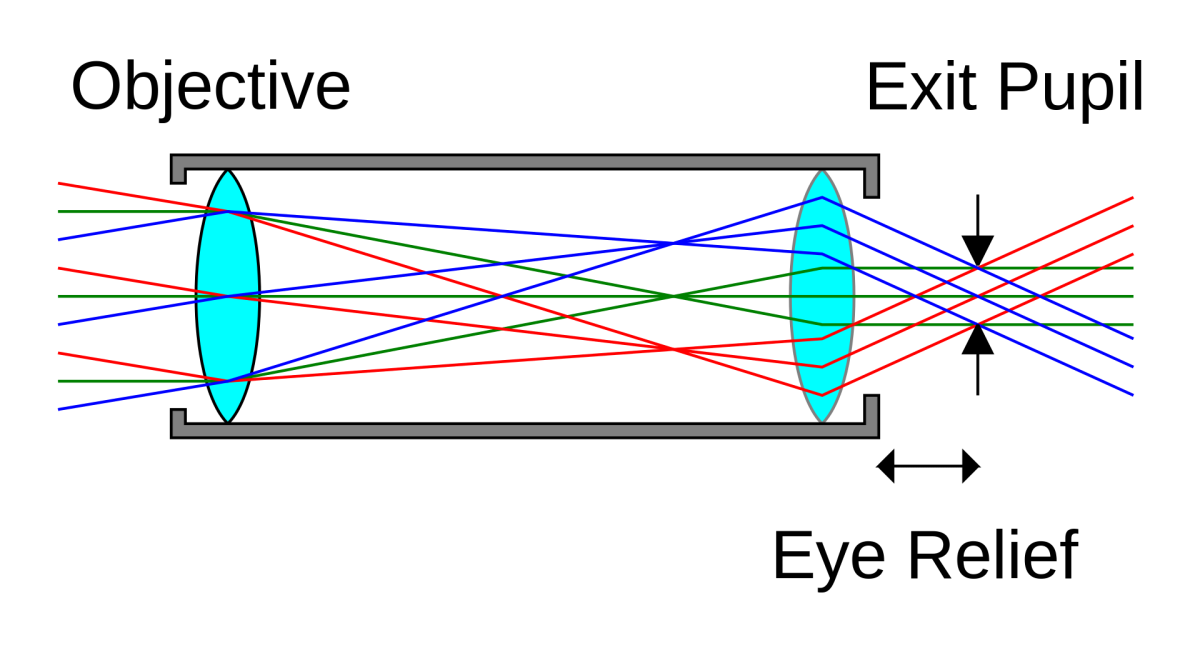 Best Hunting Binoculars Pew Pew Tactical